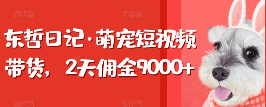 东哲日记·萌宠短视频带货，2天佣金9000+-天娱网创