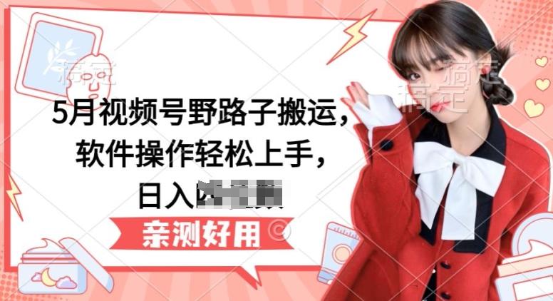 5月视频号野路子搬运，软件操作轻松上手，日入三位数【揭秘】-天娱网创