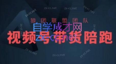 狼团联盟·2024视频号带货-天娱网创