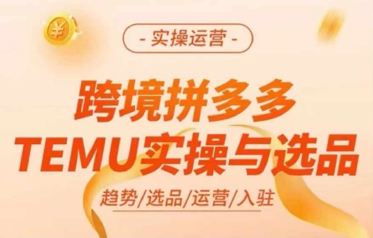 跨境拼多多TEMU实操与选品，多多temu跨境选品运营实操-天娱网创
