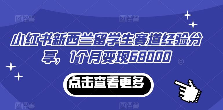 小红书新西兰留学生赛道经验分享，1个月变现68000【揭秘】-天娱网创
