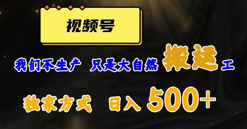 视频号轻松搬运日赚500+，一个1分钟1条原创视频【揭秘】-天娱网创