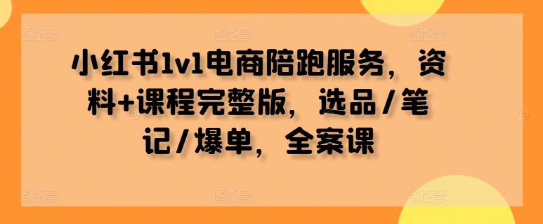 小红书1v1电商陪跑服务，资料+课程完整版，选品/笔记/爆单，全案课-天娱网创