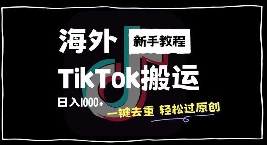 2024最新海外TikTok搬运玩法，一键去重轻松过原创，新手无经验也能日入1k【揭秘】-天娱网创