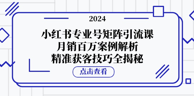 小红书专业号矩阵引流课，月销百万案例解析，精准获客技巧全揭秘-天娱网创