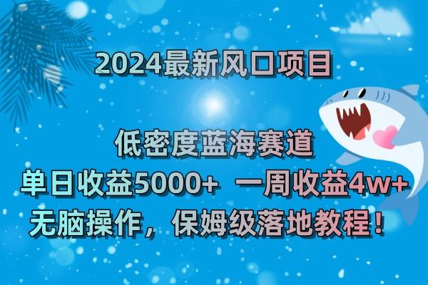 (8545期)2024最新风口项目 低密度蓝海赛道，日收益5000+周收益4w+ 无脑操作，保…-天娱网创