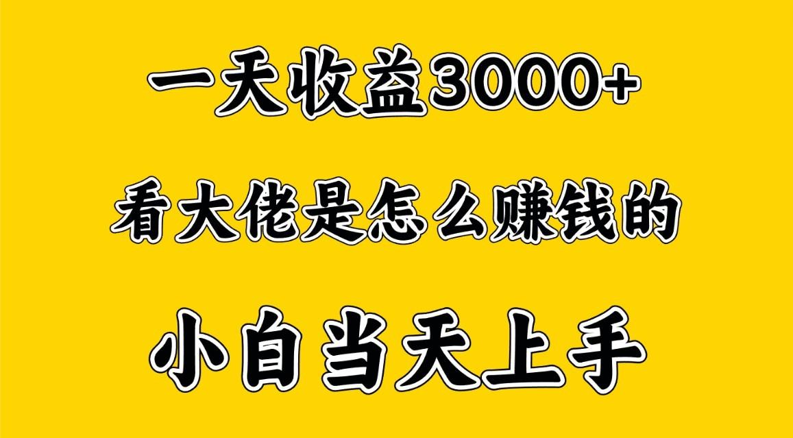 一天赚3000多，大佬是这样赚到钱的，小白当天上手，穷人翻身项目-天娱网创