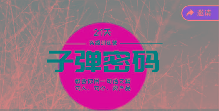 《子弹密码训练营》-用一句话文案勾人勾心卖产品，21天学到顶尖文案大师策略和技巧-天娱网创