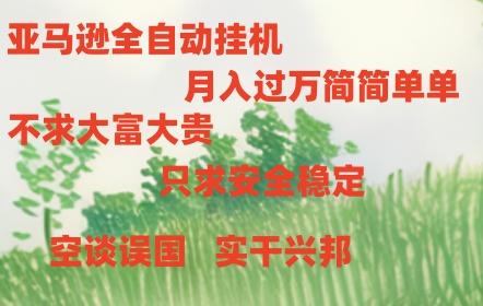 亚马逊全自动浏览挂机，，收益稳定且前景广阔-天娱网创