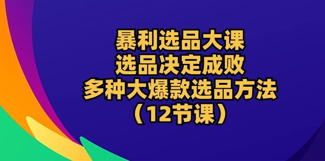暴利 选品大课：选品决定成败，教你多种大爆款选品方法(12节课-天娱网创