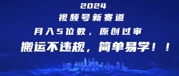 2024视频号新赛道，月入5位数+，原创过审，搬运不违规，简单易学【揭秘】-天娱网创