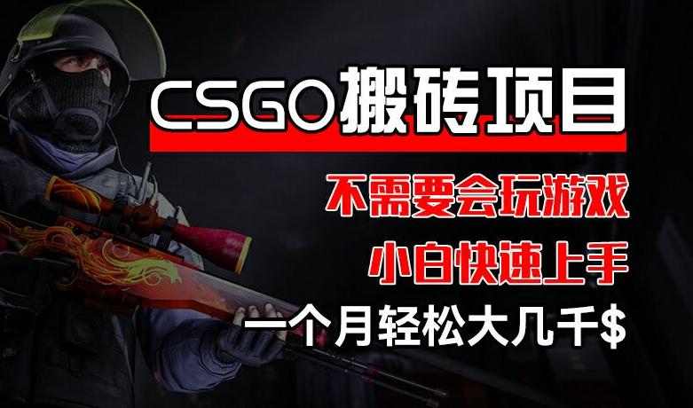 CSGO 装备搬砖项目，操作简单，不需要会玩游戏，小白也能快速上手，一个月轻松大几千【揭秘】-天娱网创