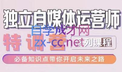 博老师·2024独立自媒体运营师特训营-天娱网创