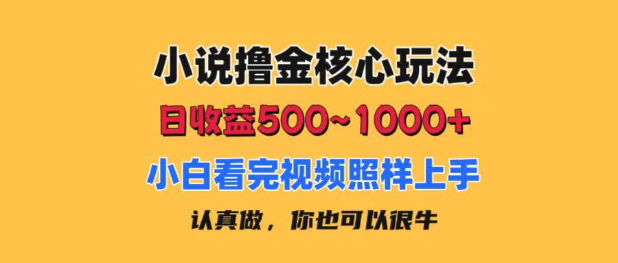 小说撸金核心玩法，日收益500-1000+，小白看完照样上手，0成本有手就行-天娱网创