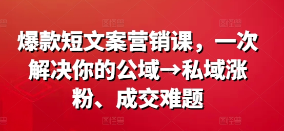 爆款短文案营销课，一次解决你的公域→私域涨粉、成交难题-天娱网创
