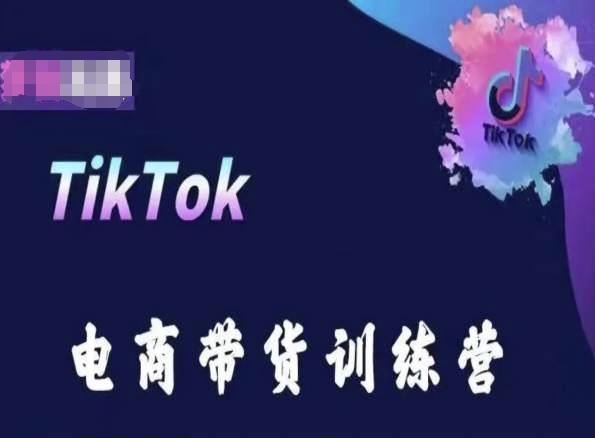 TikTok电商带货训练营，跟随时代潮流，跨境掘金-天娱网创