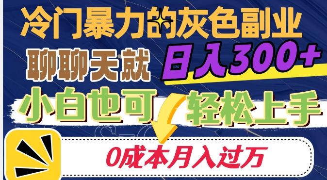 冷门暴利的副业项目，聊聊天就能日入300+，0成本月入过万【揭秘】-天娱网创