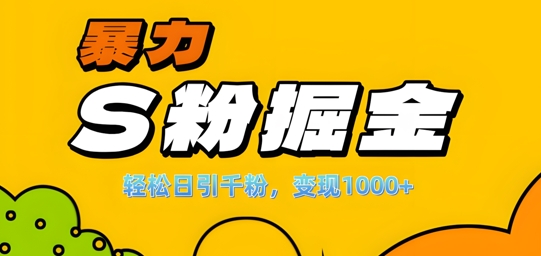 单人单机日引千粉，变现1k+，S粉流量掘金计划攻略【揭秘】-天娱网创