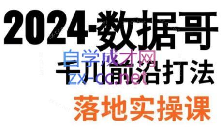 数据哥·2024年千川前沿打法落地实操课-天娱网创