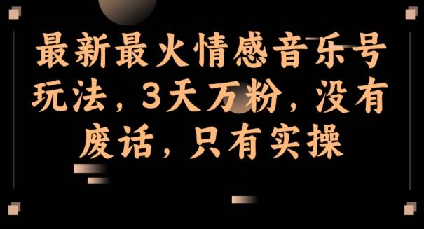 最新最火情感音乐号玩法，3天万粉，没有废话，只有实操-天娱网创