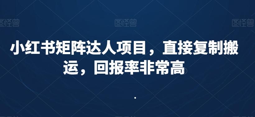 小红书矩阵达人项目，直接复制搬运，回报率非常高-天娱网创