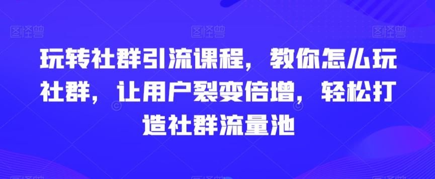 玩转社群引流课程，教你怎么玩社群，让用户裂变倍增，轻松打造社群流量池-天娱网创