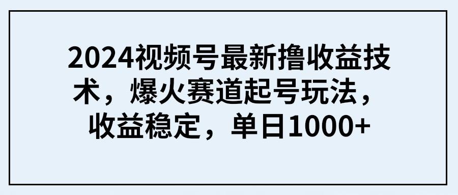 (9651期) 2024视频号最新撸收益技术，爆火赛道起号玩法，收益稳定，单日1000+-天娱网创