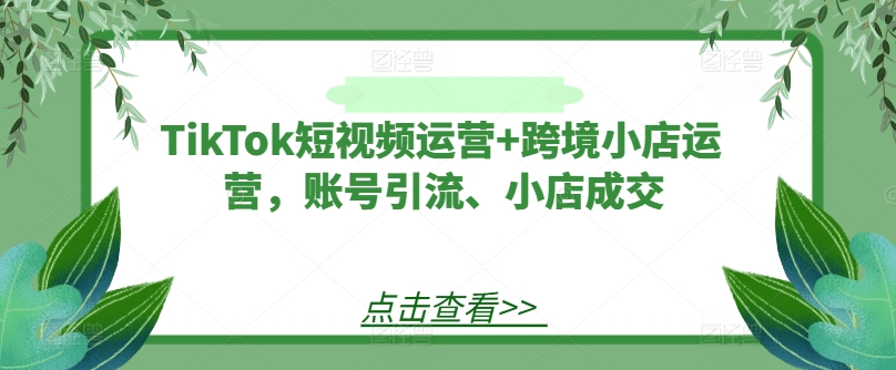 TikTok短视频运营+跨境小店运营，账号引流、小店成交-天娱网创