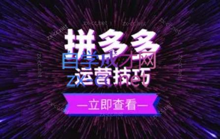 力辛电商·拼多多强付费店群玩法-天娱网创