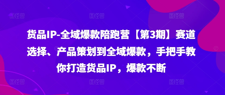 货品IP全域爆款陪跑营【第3期】赛道选择、产品策划到全域爆款，手把手教你打造货品IP，爆款不断-天娱网创