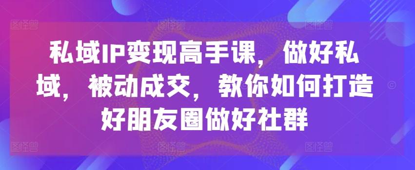 私域IP变现高手课，做好私域，被动成交，教你如何打造好朋友圈做好社群-天娱网创
