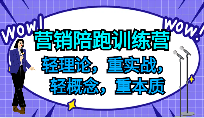 营销陪跑训练营，轻理论，重实战，轻概念，重本质，适合中小企业和初创企业的老板-天娱网创