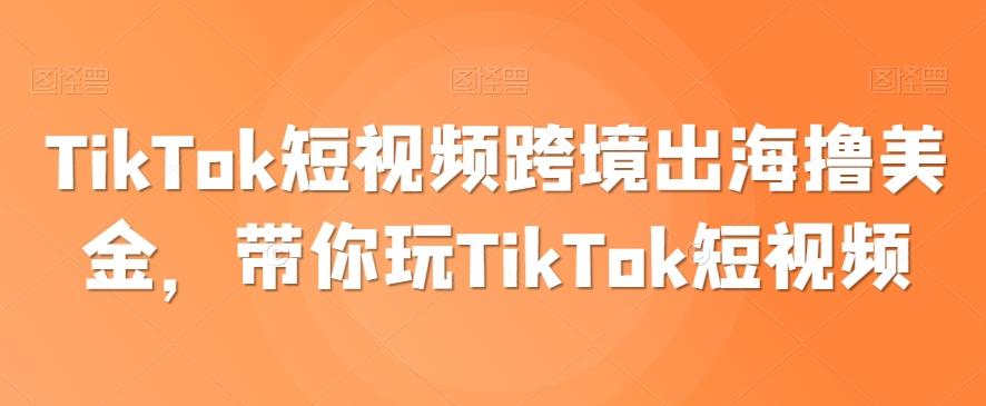 TikTok短视频跨境出海撸美金，带你玩TikTok短视频-天娱网创