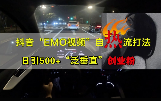 抖音EMO视频自热打法，日引500+“泛垂直”创业粉-天娱网创