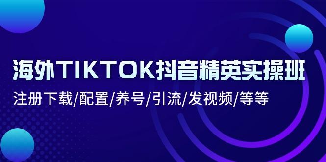 海外TIKTOK抖音精英实操班：注册下载/配置/养号/引流/发视频/等等-天娱网创