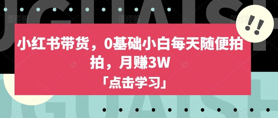小红书带货，0基础小白每天随便拍拍，月赚3W【揭秘】-天娱网创
