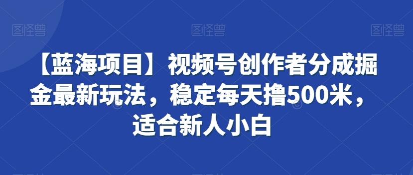 【蓝海项目】视频号创作者分成掘金最新玩法，稳定每天撸500米，适合新人小白【揭秘】-天娱网创