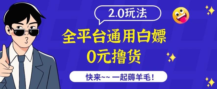 外面收费2980的全平台通用白嫖撸货项目2.0玩法【仅揭秘】-天娱网创