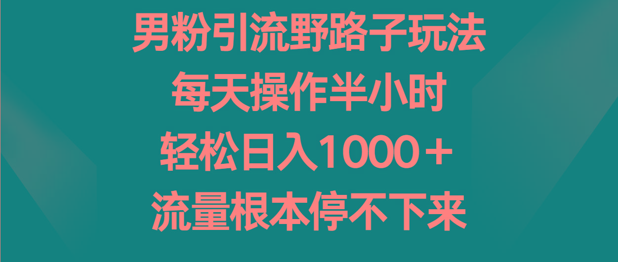 男粉引流野路子玩法，每天操作半小时轻松日入1000＋，流量根本停不下来-天娱网创