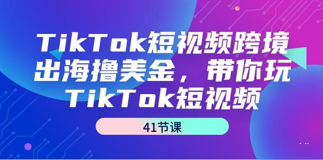 TikTok短视频跨境出海撸美金，带你玩TikTok短视频(41节课)-天娱网创