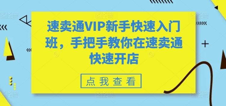 速卖通VIP新手快速入门班，手把手教你在速卖通快速开店-天娱网创