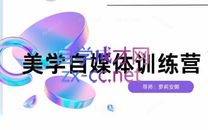 安娜·美学自媒体IP系统课-天娱网创