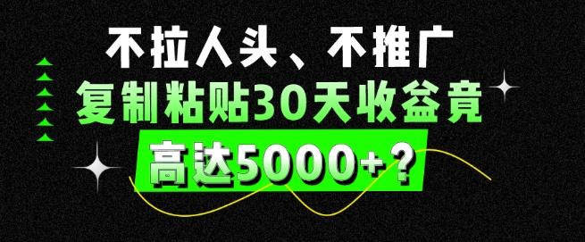 不拉人头、不推广，复制粘贴30天收益竟高达5000+？-天娱网创