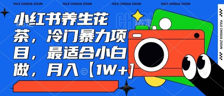 小红书养生花茶，冷门暴力项目，最适合小白做，月入【1W+】-天娱网创
