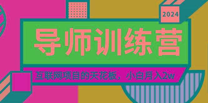 《导师训练营》精准粉丝引流的天花板，小白月入2w-天娱网创