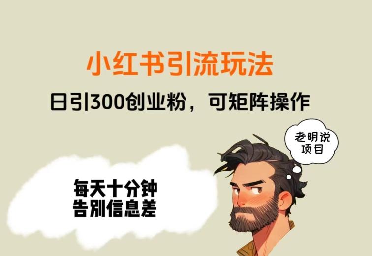 靠小红书视频日印300粉，两分钟一个视频轻松矩阵-天娱网创