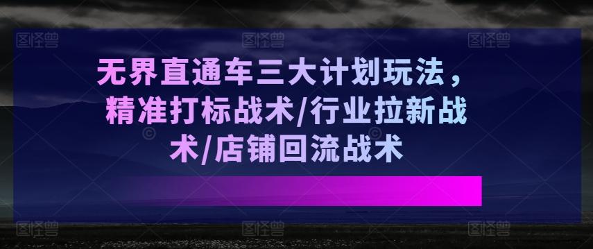 无界直通车三大计划玩法，精准打标战术/行业拉新战术/店铺回流战术-天娱网创
