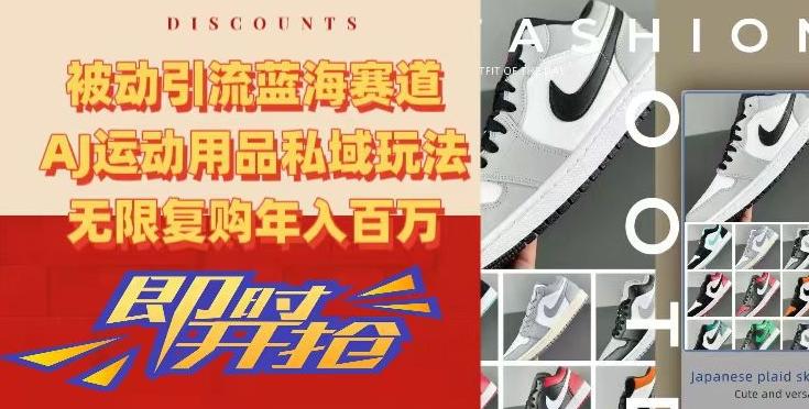 被动引流蓝海赛道，AJ运动用品私域玩法，无限复购年入百万【揭秘】-天娱网创