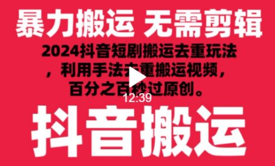2024最新抖音搬运技术，抖音短剧视频去重，手法搬运，利用工具去重，达到秒过原创的效果【揭秘】-天娱网创