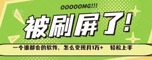 一个谁都会的软件，怎么变现月1万+轻松上手-天娱网创